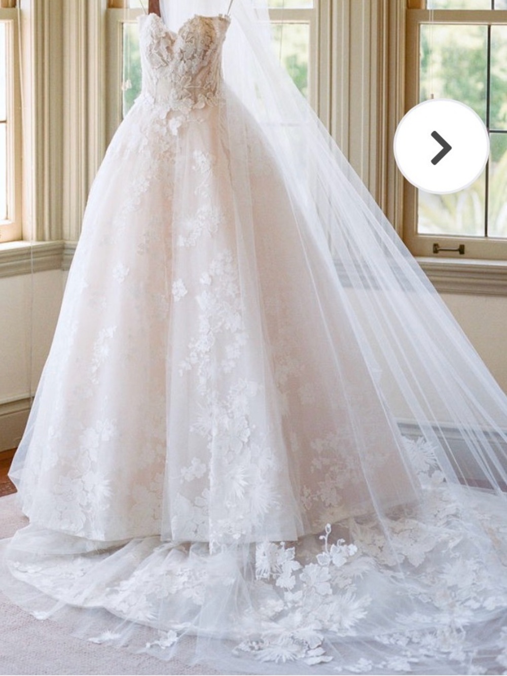 Monique Lhuillier Easton Wedding Gown and matching veil